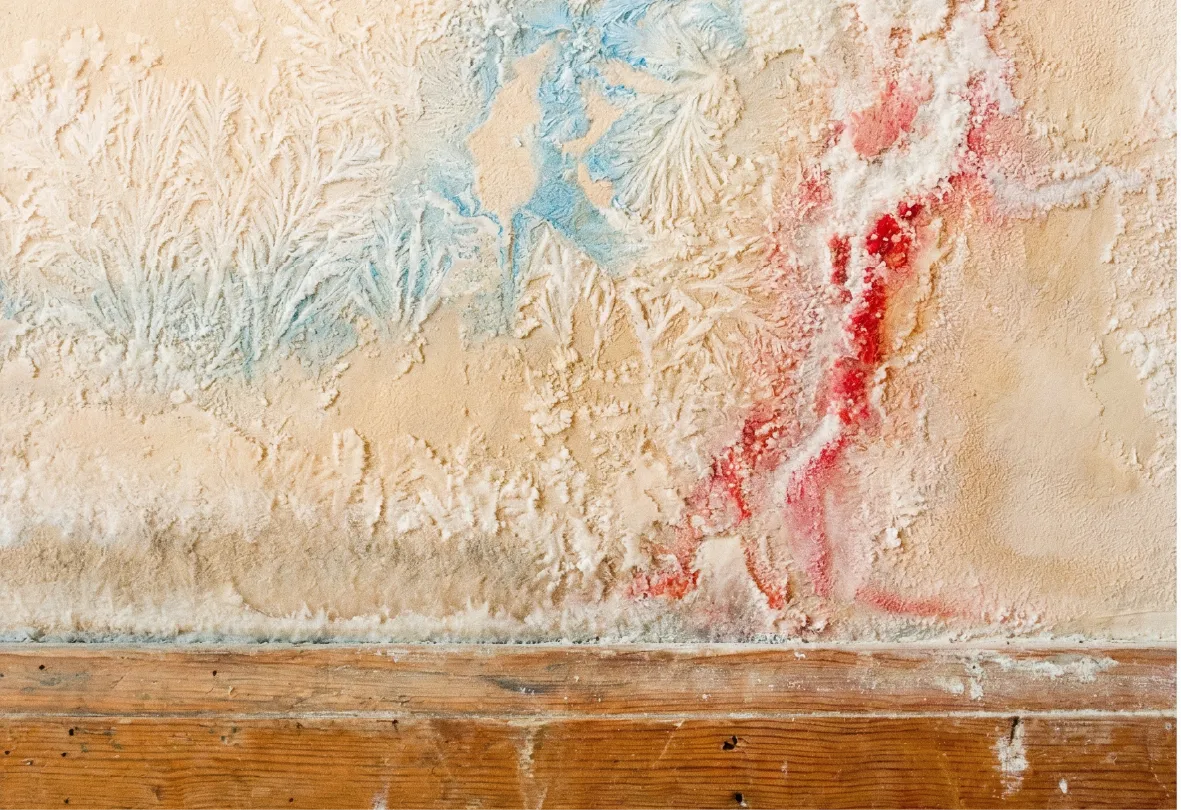 Ejemplo de pintura desconchada por capilaridad