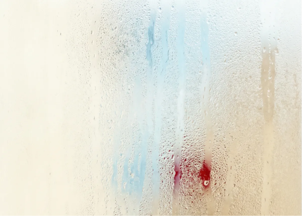 Antes de actuar en caso de condensación